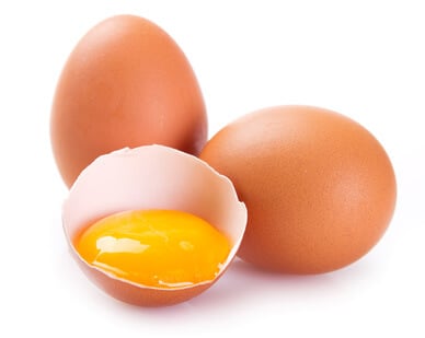 Egg Protein Kraftquelle Hühnerei