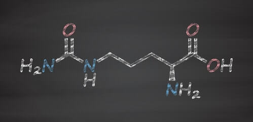 citrullin moleküldiagramm